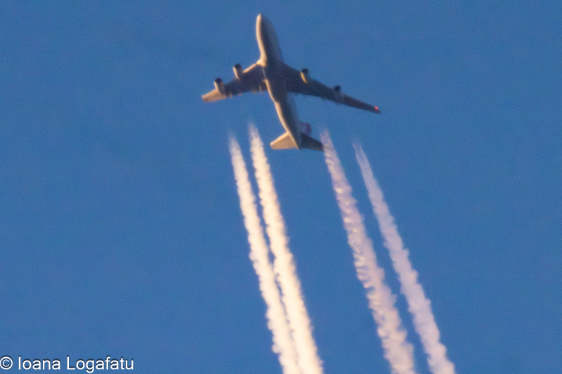 Skyward journey of a jet against a blue canvas